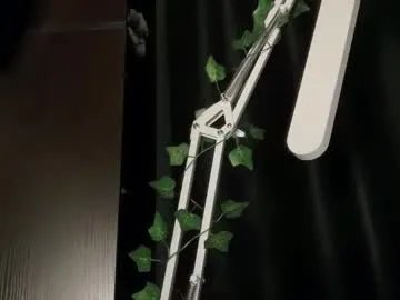 ivyvibe model from cb