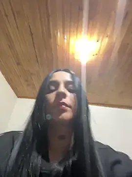 London_fox model from sc