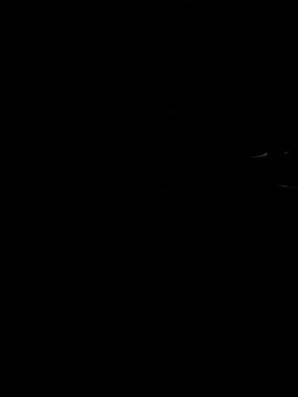 Prinzessi model from sc