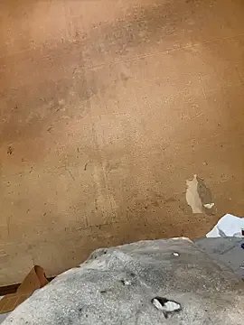 punk0805 — Freechat on StripChat